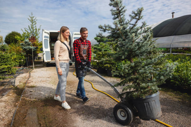 Best Tree Maintenance Programs  in Goodwell, OK